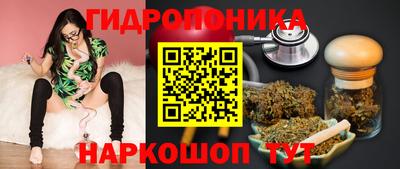 гидра Жуковский