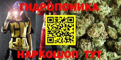 гидра Жуковский