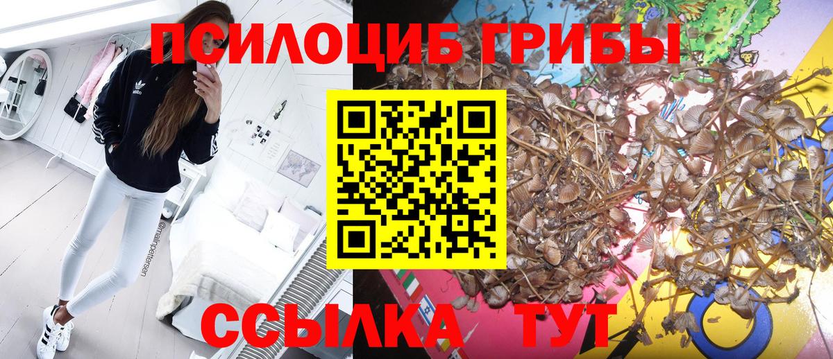 Глазов  Галлюциногенные грибы GOLDEN TEACHER  Вход с VPN 